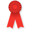 Second Prize